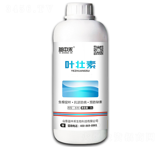 �~����-���к�