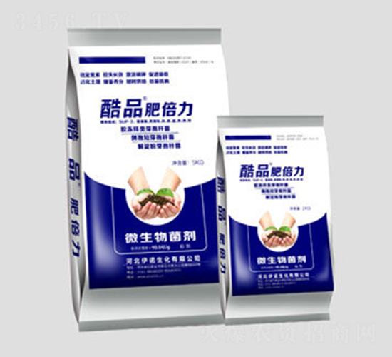 ��Ʒ�ʱ���-�ֵ����Z