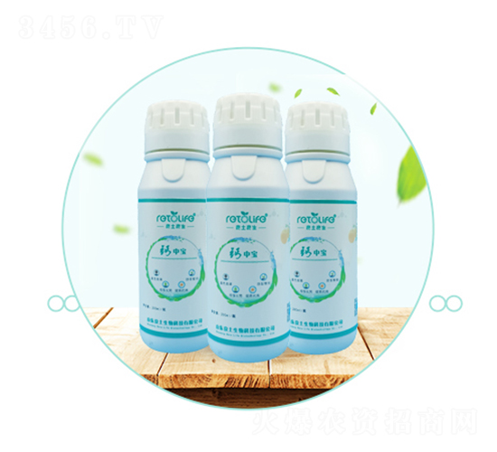 �}�Ќ�-��������