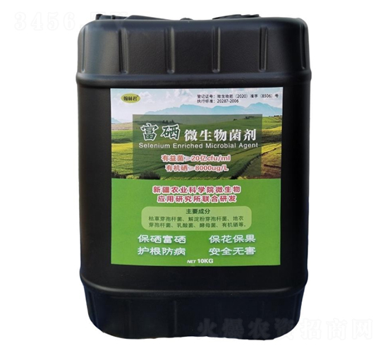 ����΢�������-���־�-����