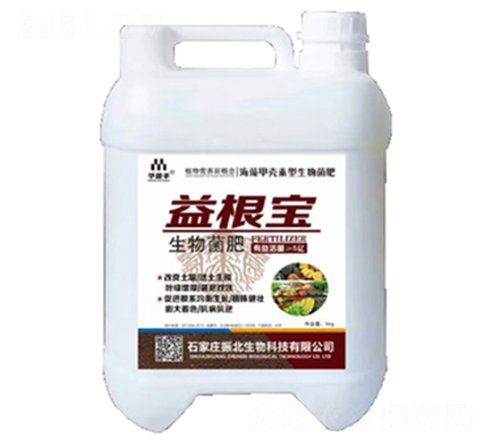 �������-�����-������