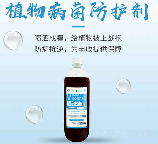 ֲ�ﲡ�����o(h��)��-Ĥ��ʩ-���S����