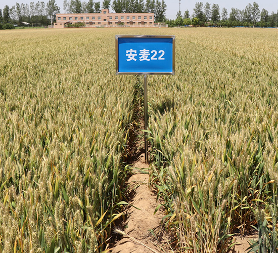 ����22-С���N��-����r(n��ng)��