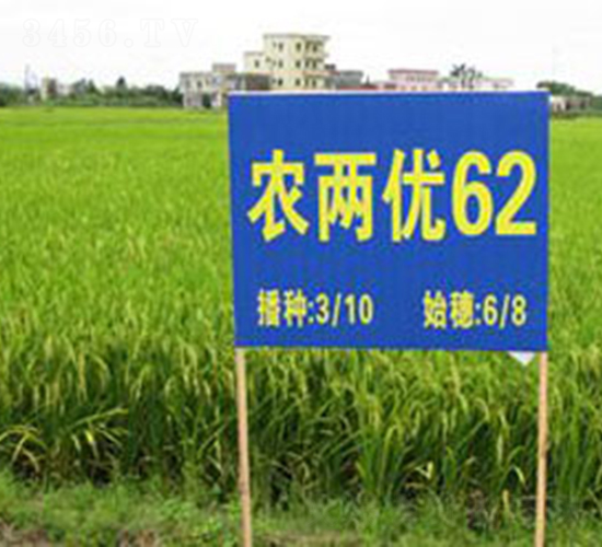 �r(n��ng)�Ƀ�(y��u)62-ˮ���N��-�Aï�߿�