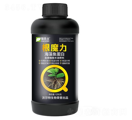 ��ħ���������~���ף�-�ژ���-�֠���