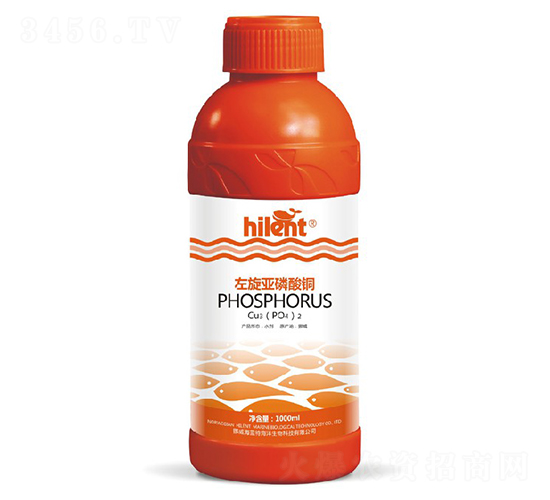 �����������~-���{(l��n)��