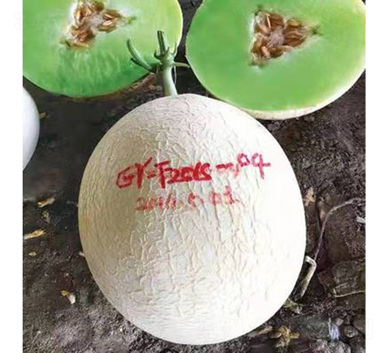 ��ʥ����ʮ�����G֮�㣩-��ϷN��-��ʥ��