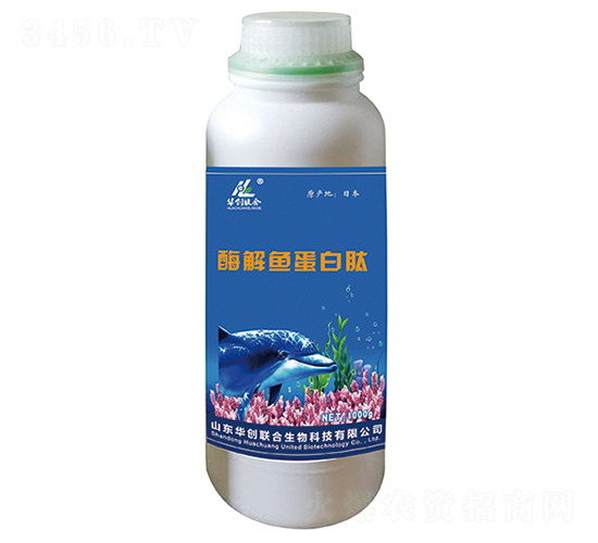 ø���~�����ģ�1000g��-�A��(chu��ng)(li��n)��