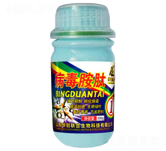 ��������-�A��(chu��ng)(li��n)��