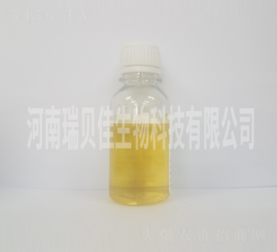 Һ�w��-��ؐ������