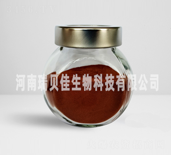 �����������F-��ؐ������