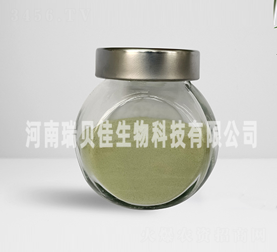 15.8%�����������}-��ؐ������