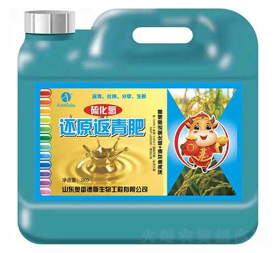 ߀ԭ�����-�򻯚�-�W�׵�˹