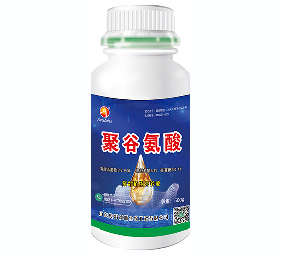 �۹Ȱ���-�W�׵�˹