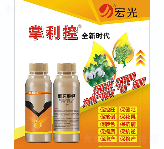 5%�{(di��o)�h(hu��n)���}-������-��⻯��