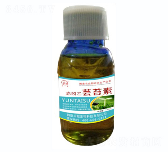 �������|̦��-��(bi��o)������