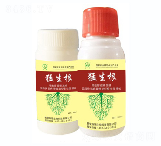 ������-��(bi��o)������