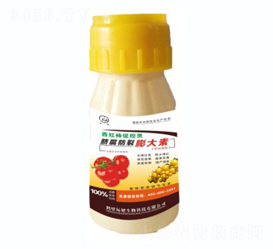 ���t��Ě�����������-��(bi��o)������