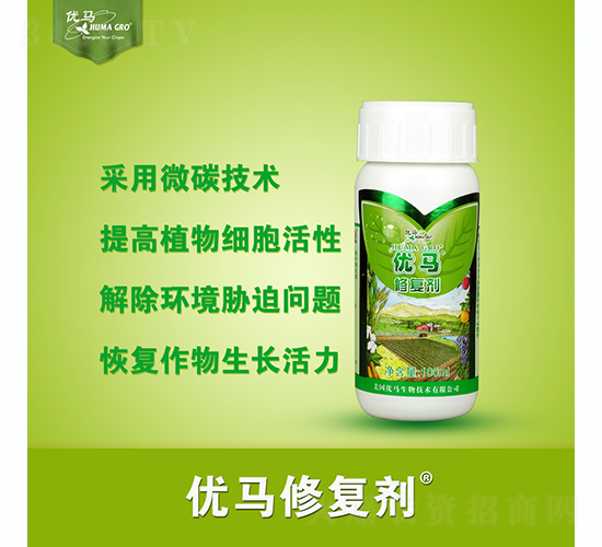 ��(y��u)�R�ޏ�(f��)��-��(y��u)�R����