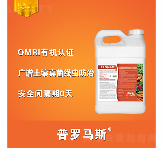 ���_�R˹-��(y��u)�R����