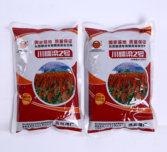 ��Ŵ��2̖-�����N��-������