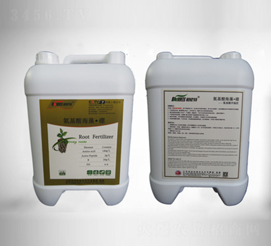 �����ả�塤��-�ֲ���