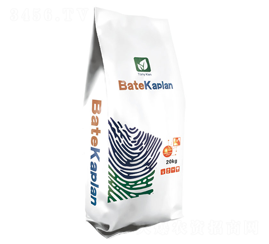 ����ؐ��-�W��ɳ