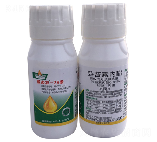 �|̦�؃�(n��i)������-ԥ���r(n��ng)-���r(n��ng)