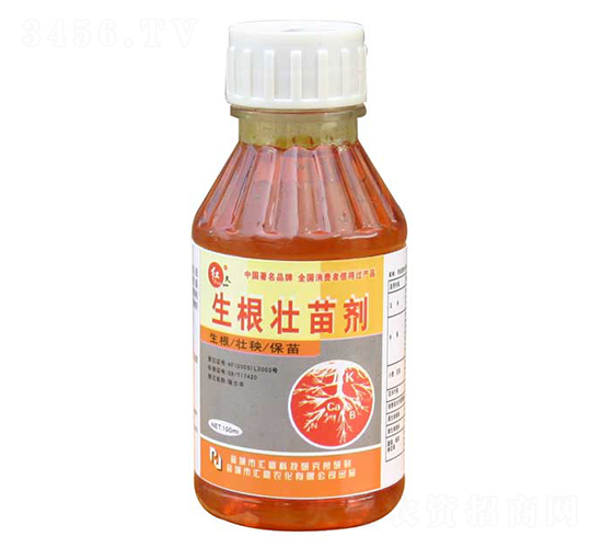 �������焩-�R���r��