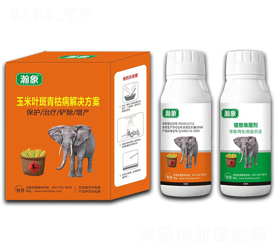 �����~����ݲ���Q����-���-嫪{