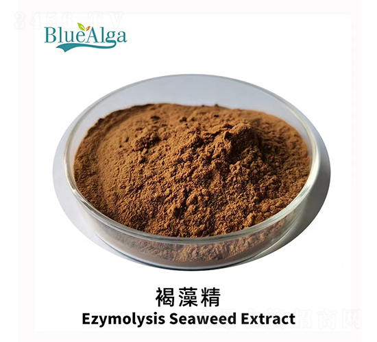 ���徫-���u�{��