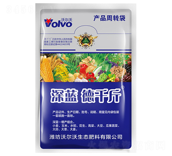 ���{(l��n)��ǧ��-������