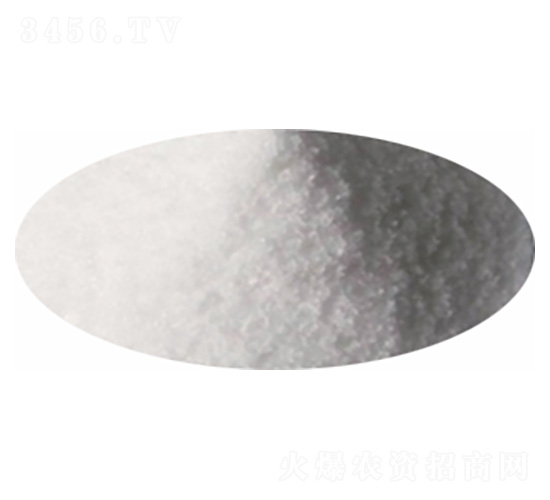 �Ȼ��-�P�����d