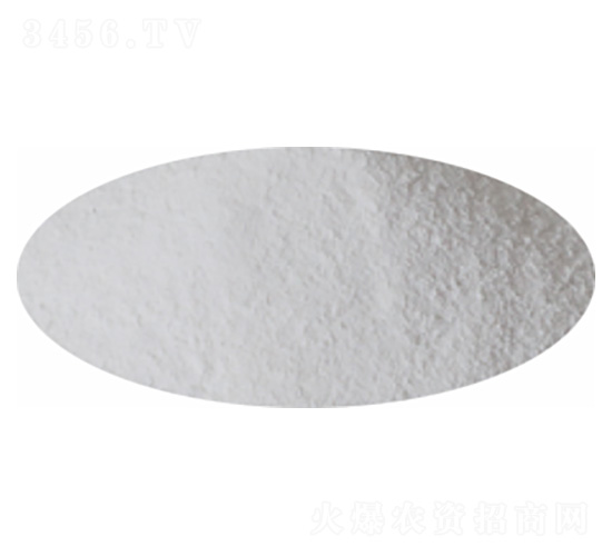 �����(NOP)-�P�����d