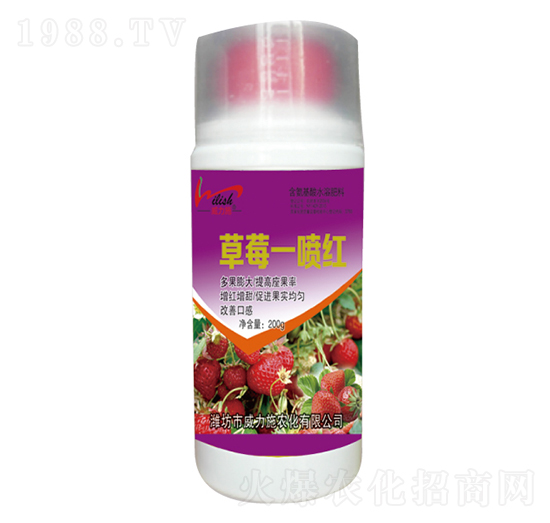 ��ݮһ���t-����ʩ