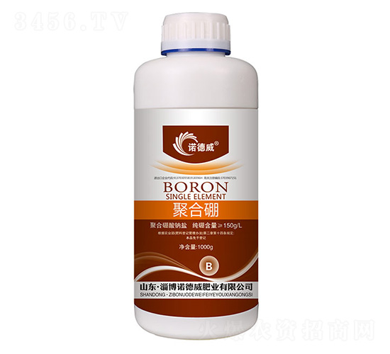 �ۺ���-�Z����