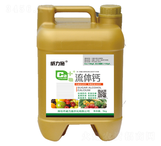 ���w�}-����ʩ