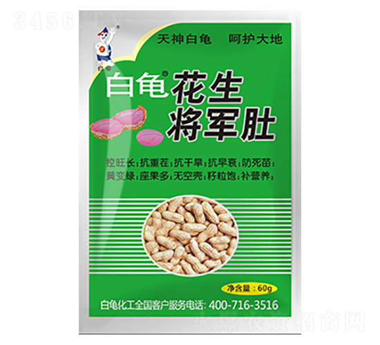 ������܊��-��������