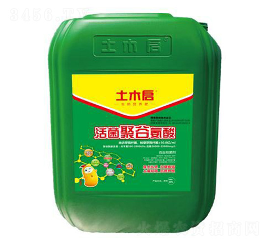 ����۹Ȱ���-��ľ������