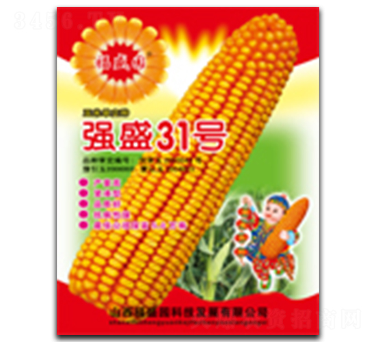 ��(qi��ng)ʢ31̖(h��o)-���׷N��-��(qi��ng)ʢ�N�I(y��)