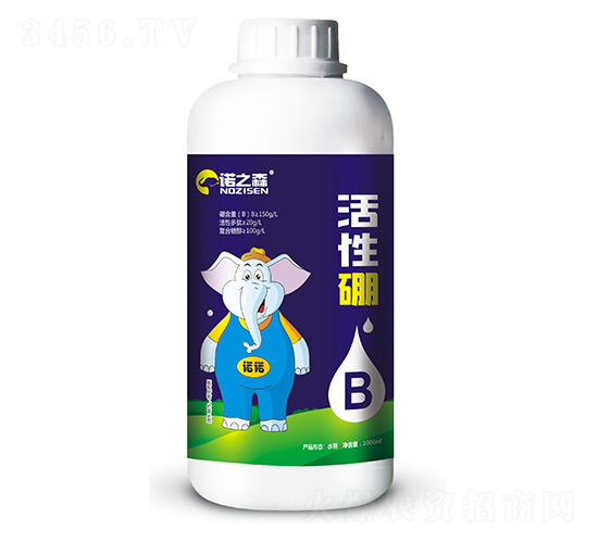 ������-�Z֮ɭ