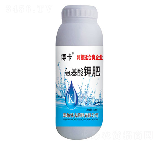 ������⛷�-����