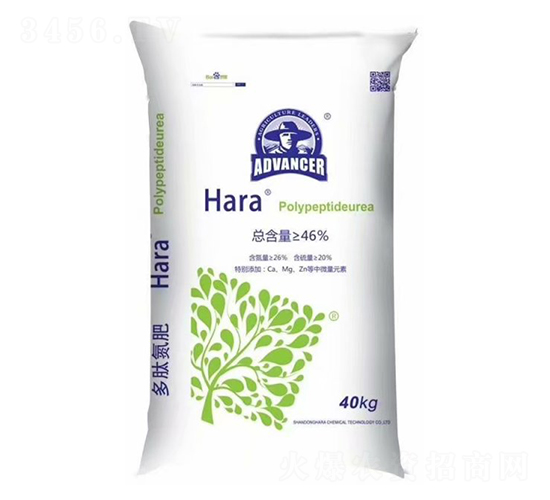 ���ĵ�-���ۻ��W