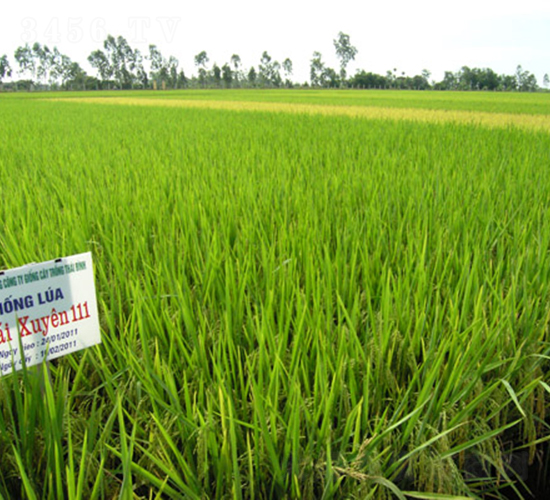 ̩��(y��u)1̖-ˮ���N��-���C�N�I(y��)