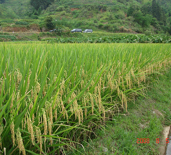 ����(y��u)3301-ˮ���N��-���C�N�I(y��)