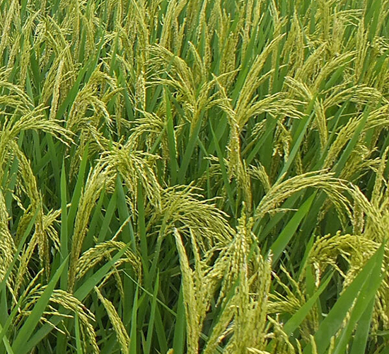 ����(y��u)844-ˮ���N��-ϣ���N�I(y��)