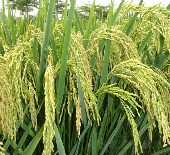 ���Ƀ�(y��u)361-ˮ���N��-ϣ���N�I(y��)