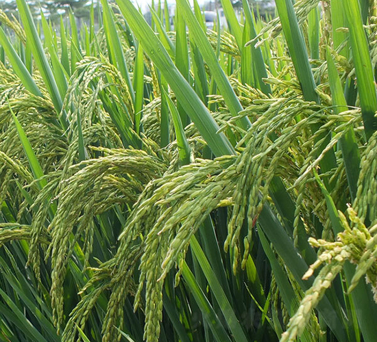 ���Ƀ�(y��u)312-ˮ���N��-ϣ���N�I(y��)