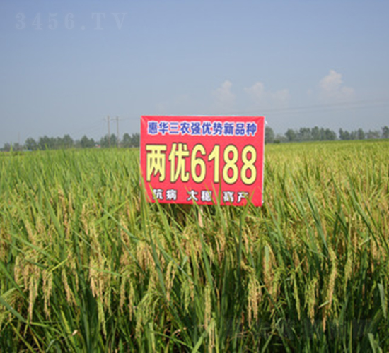 �Ƀ�(y��u)6188-ˮ���N��-���A���r(n��ng)