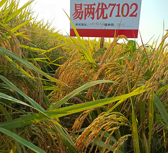 �׃Ƀ�(y��u)7102-ˮ���N��-���A���r(n��ng)